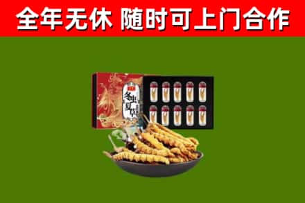 新安回收冬虫夏草价格